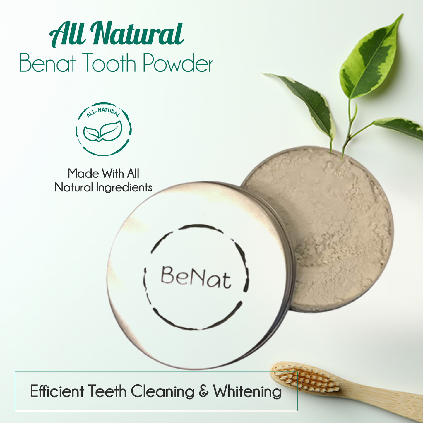 EcoSmile Dental Kit